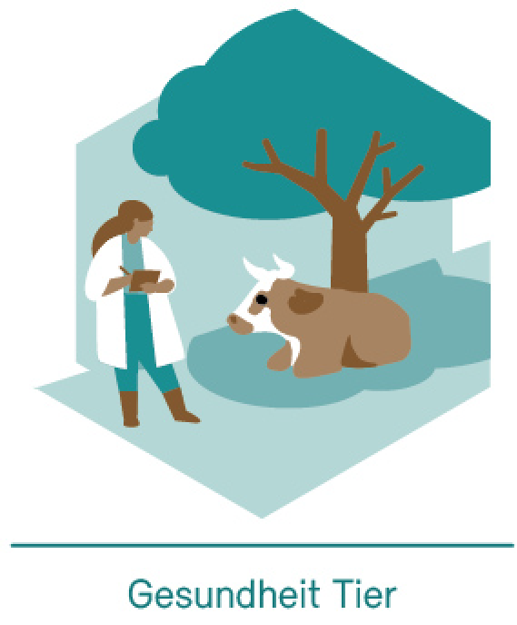 Tiergesundheit