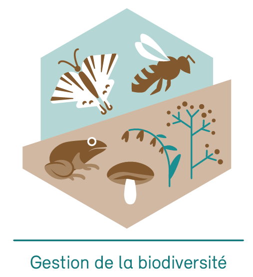 Biodiversité