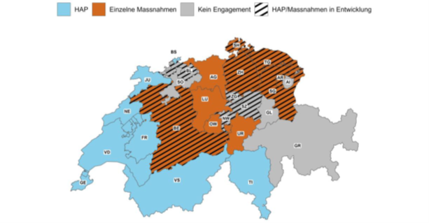 Hitzemassnahmen und -aktionspläne der Behörden